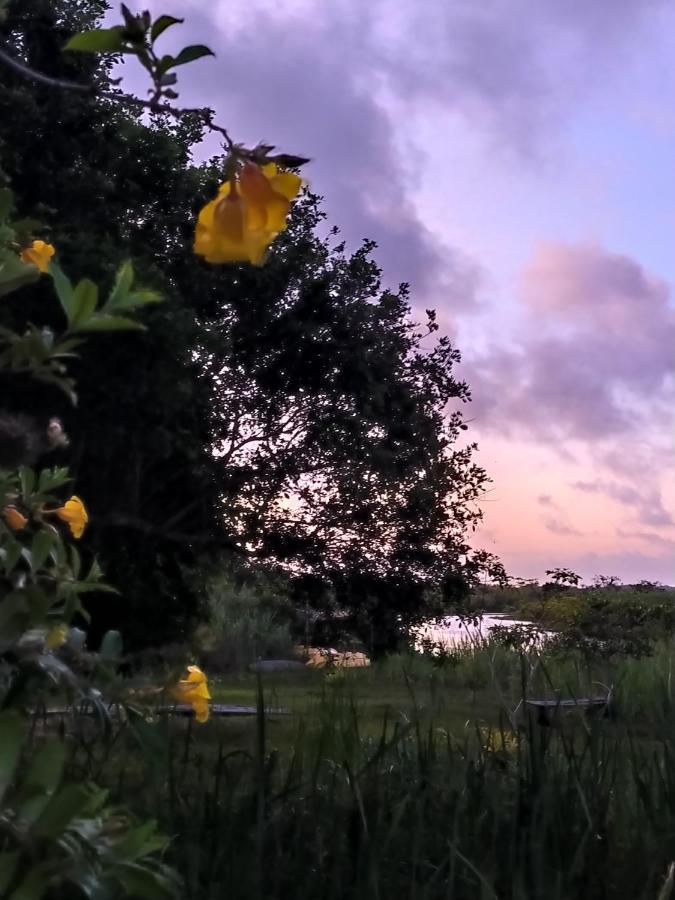 Pousada Mangue Seco Itaunas  Eksteriør bilde